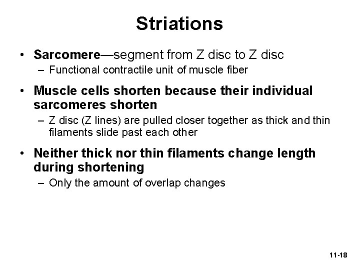 Striations • Sarcomere—segment from Z disc to Z disc – Functional contractile unit of