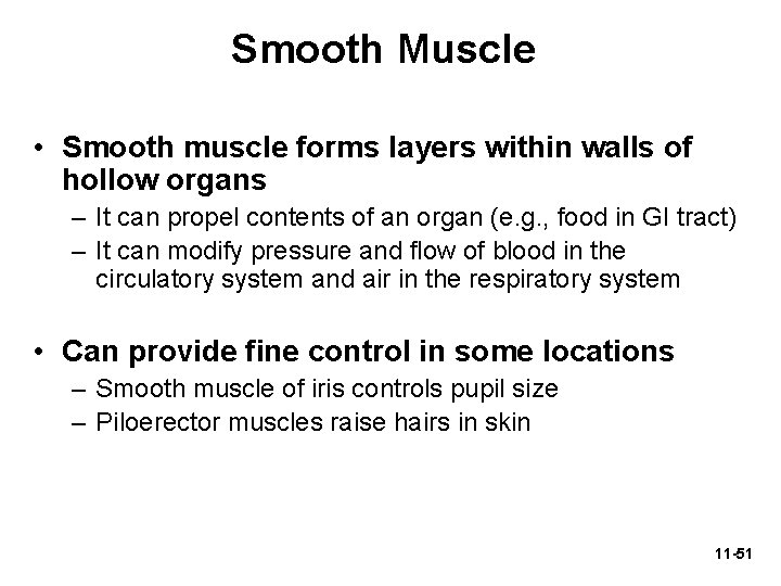  Smooth Muscle • Smooth muscle forms layers within walls of hollow organs –