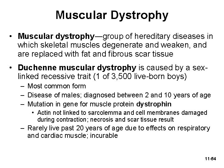 Muscular Dystrophy • Muscular dystrophy―group of hereditary diseases in which skeletal muscles degenerate and