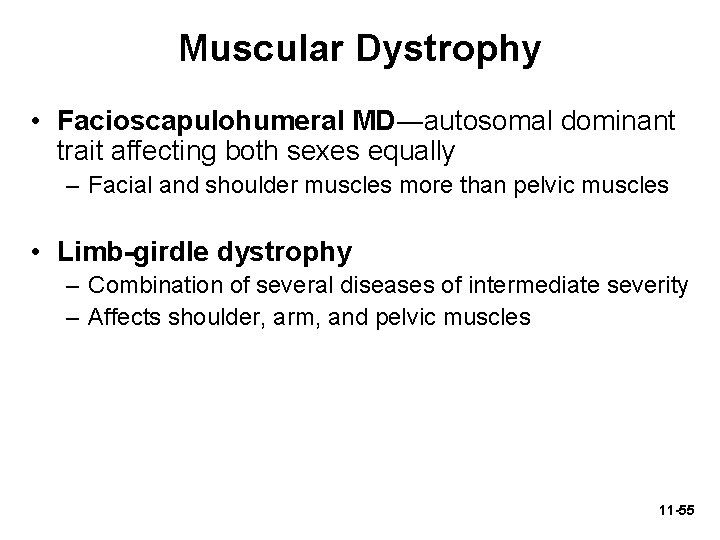 Muscular Dystrophy • Facioscapulohumeral MD―autosomal dominant trait affecting both sexes equally – Facial and