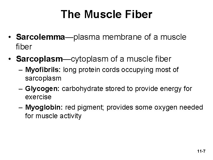 The Muscle Fiber • Sarcolemma—plasma membrane of a muscle fiber • Sarcoplasm—cytoplasm of a