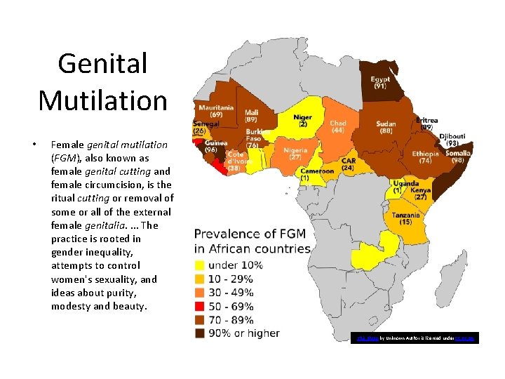 Genital Mutilation • Female genital mutilation (FGM), also known as female genital cutting and