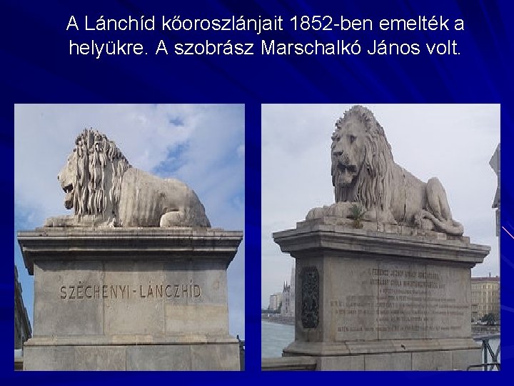 A Lánchíd kőoroszlánjait 1852 -ben emelték a helyükre. A szobrász Marschalkó János volt. 