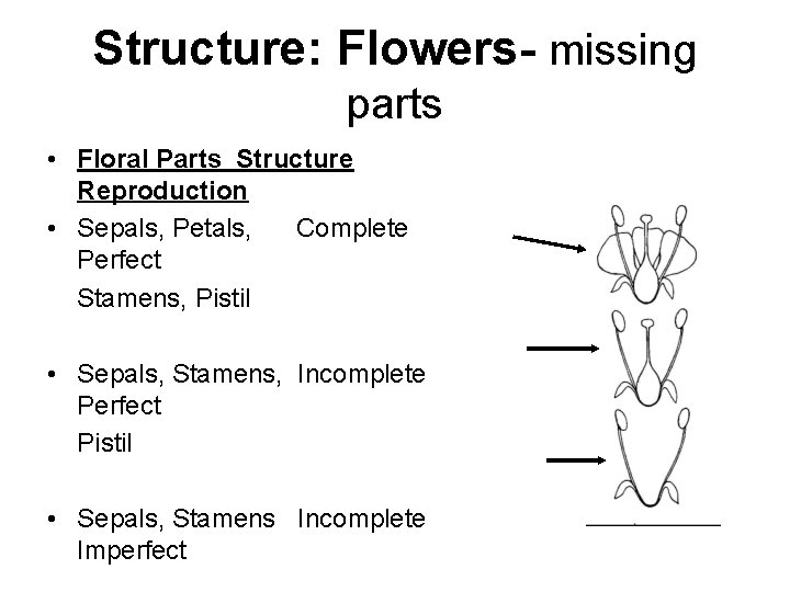Structure: Flowers- missing parts • Floral Parts Structure Reproduction • Sepals, Petals, Complete Perfect