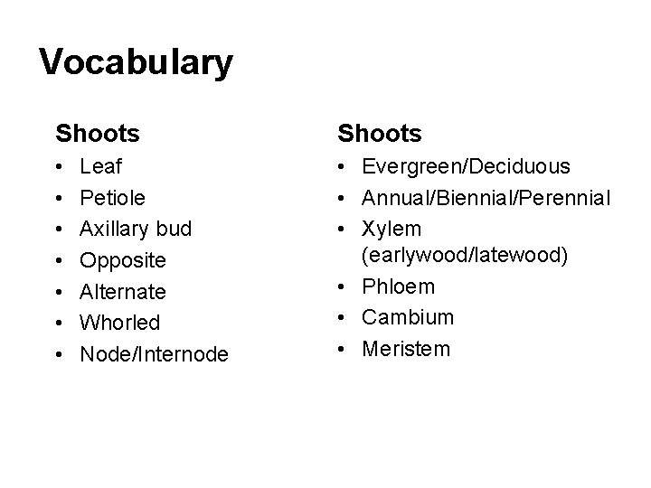 Vocabulary Shoots • • Evergreen/Deciduous • Annual/Biennial/Perennial • Xylem (earlywood/latewood) • Phloem • Cambium