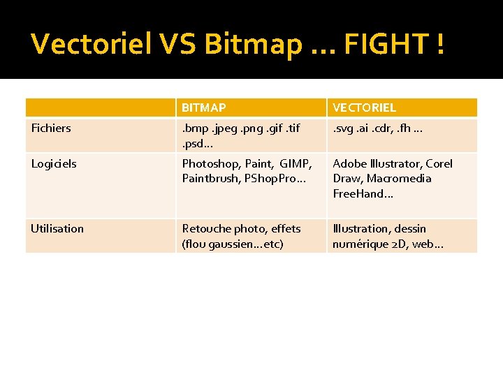 Vectoriel Vs Bitmap SI 28 ZOUAGHI Sarra GIRARD Yann FLASH PRESENTATION