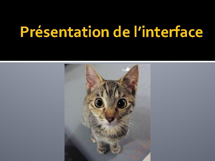 Présentation de l’interface Présentation de l’interface