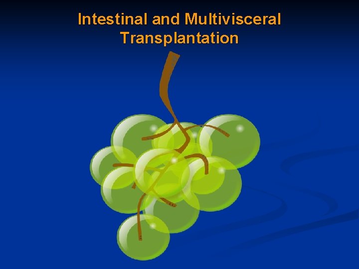 Intestinal and Multivisceral Transplantation 