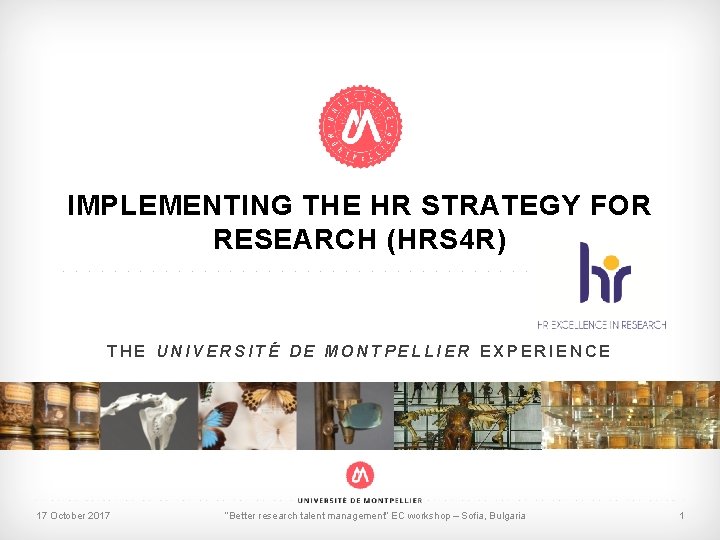 IMPLEMENTING THE HR STRATEGY FOR RESEARCH (HRS 4 R). . . THE UNIVERSITÉ DE