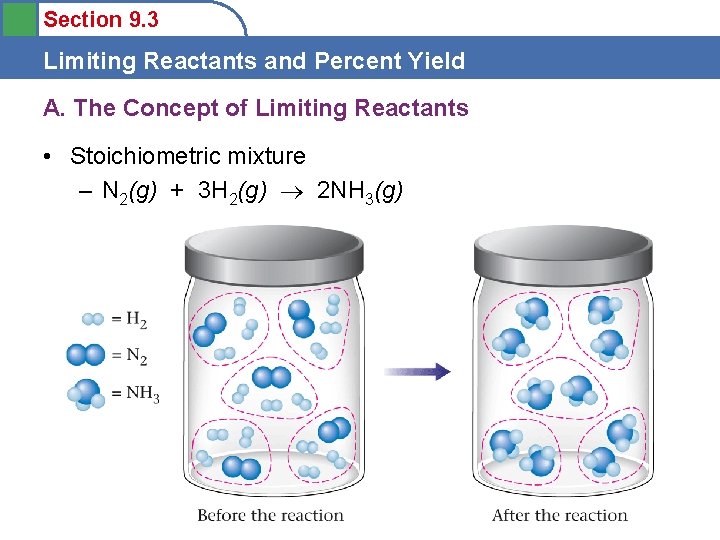 Section 9. 3 Limiting Reactants and Percent Yield A. The Concept of Limiting Reactants