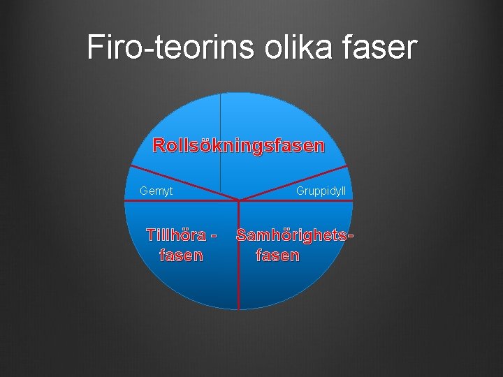 Firo-teorins olika faser Rollsökningsfasen Gemyt Tillhöra fasen Gruppidyll Samhörighetsfasen 