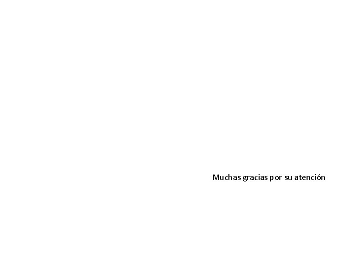 Muchas gracias por su atención 