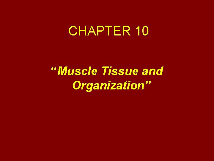 CHAPTER 10 “Muscle Tissue and Organization” 