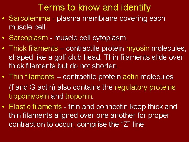 Terms to know and identify • Sarcolemma - plasma membrane covering each muscle cell.