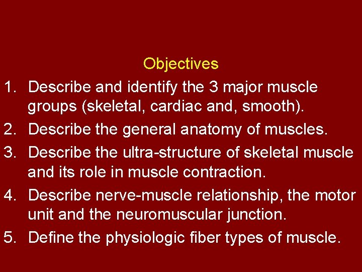 1. 2. 3. 4. 5. Objectives Describe and identify the 3 major muscle groups