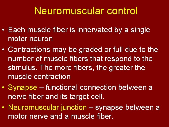 Neuromuscular control • Each muscle fiber is innervated by a single motor neuron •