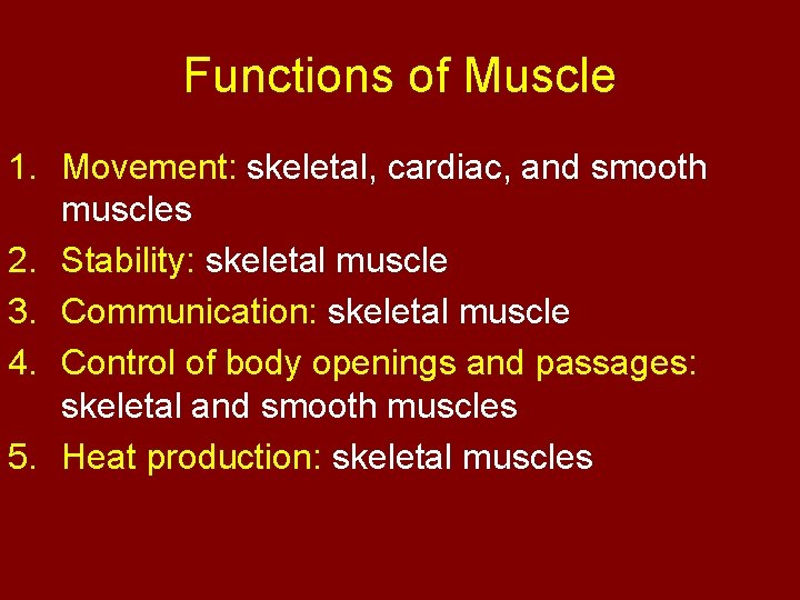 Functions of Muscle 1. Movement: skeletal, cardiac, and smooth muscles 2. Stability: skeletal muscle