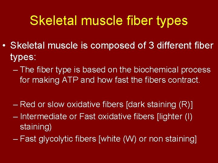 Skeletal muscle fiber types • Skeletal muscle is composed of 3 different fiber types: