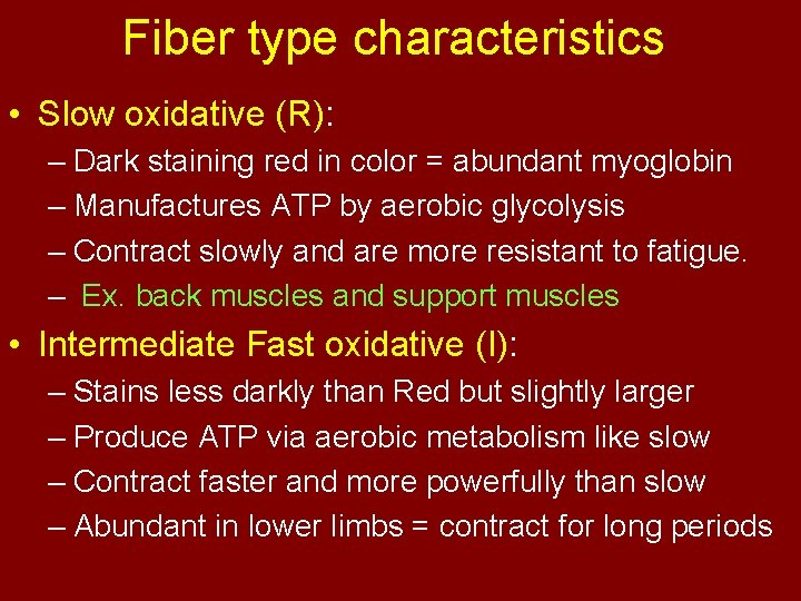 Fiber type characteristics • Slow oxidative (R): – Dark staining red in color =