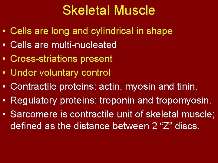 Skeletal Muscle • • Cells are long and cylindrical in shape Cells are multi-nucleated