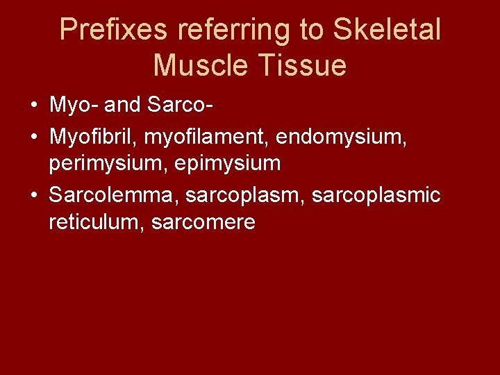 Prefixes referring to Skeletal Muscle Tissue • Myo- and Sarco • Myofibril, myofilament, endomysium,