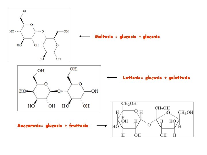 Maltosio = glucosio + glucosio Lattosio= glucosio + galattosio Saccarosio= glucosio + fruttosio 