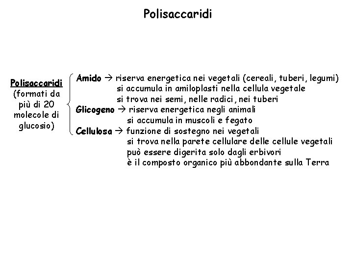 Polisaccaridi (formati da più di 20 molecole di glucosio) Amido riserva energetica nei vegetali