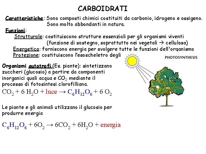 CARBOIDRATI Caratteristiche: Sono composti chimici costituiti da carbonio, idrogeno e ossigeno. Sono molto abbondanti