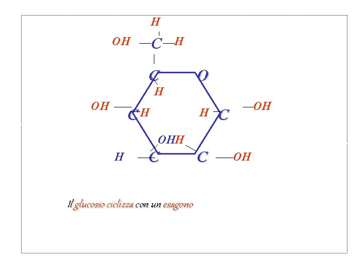 H OH CH O H OH C OHH H C Il glucosio ciclizza con