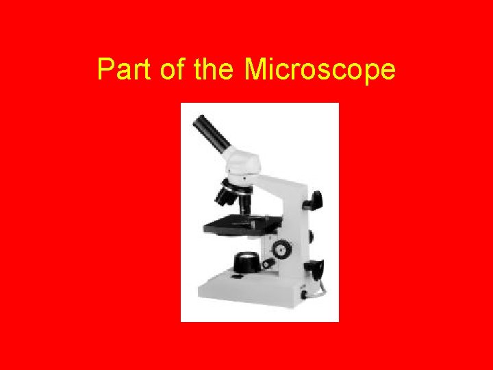 Part of the Microscope 
