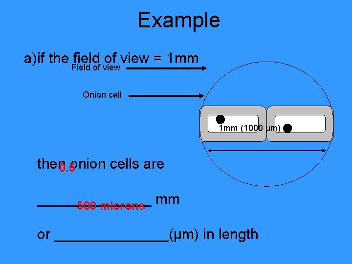 Example a)if the Field fieldof view = 1 mm Onion cell 1 mm (1000