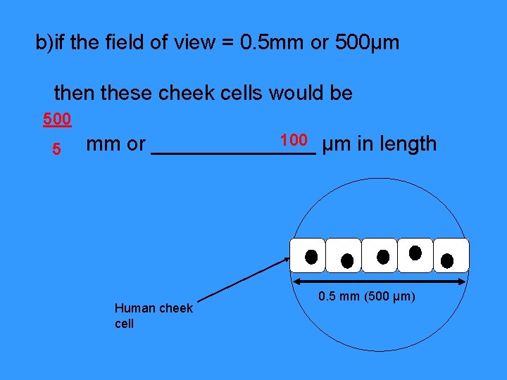 b)if the field of view = 0. 5 mm or 500µm then these cheek