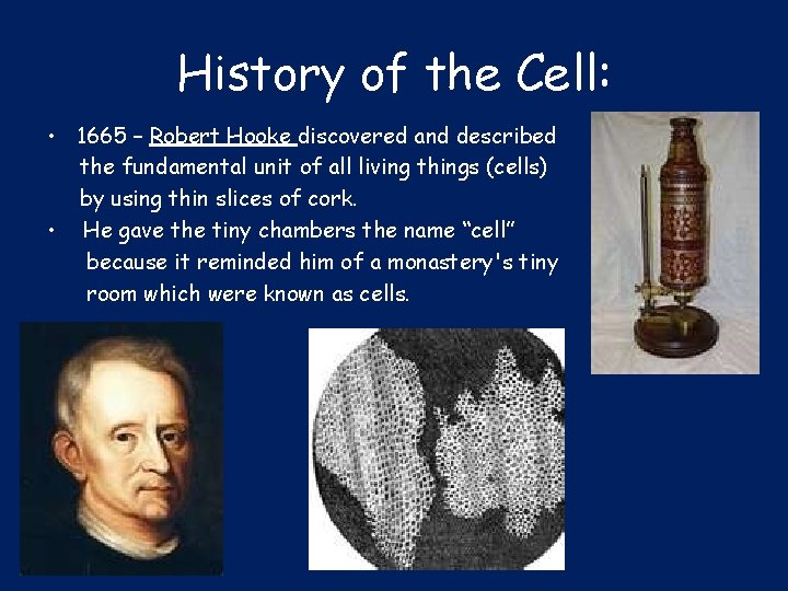 History of the Cell: • 1665 – Robert Hooke discovered and described the fundamental