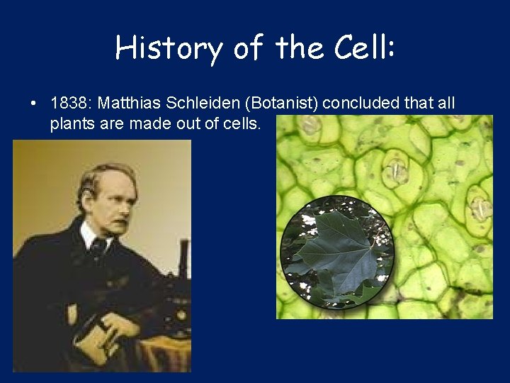 History of the Cell: • 1838: Matthias Schleiden (Botanist) concluded that all plants are