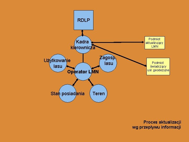 RDLP Podmiot aktualizujący LMN Kadra kierownicza Użytkowanie lasu Operator LMN Stan posiadania Zagosp. lasu