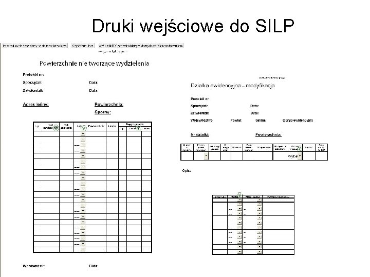 Druki wejściowe do SILP 
