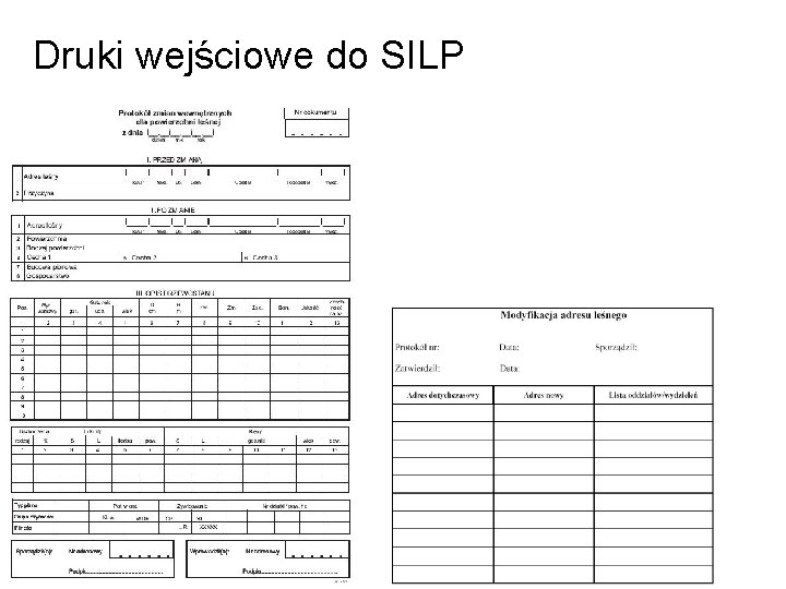 Druki wejściowe do SILP 