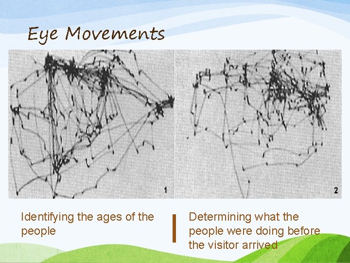 Eye Movements Identifying the ages of the people l Determining what the people were