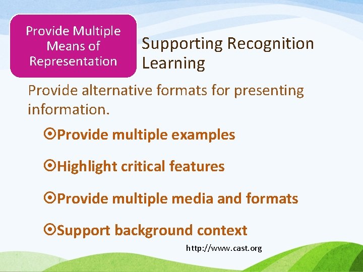 Provide Multiple Means of Representation Supporting Recognition Learning Provide alternative formats for presenting information.