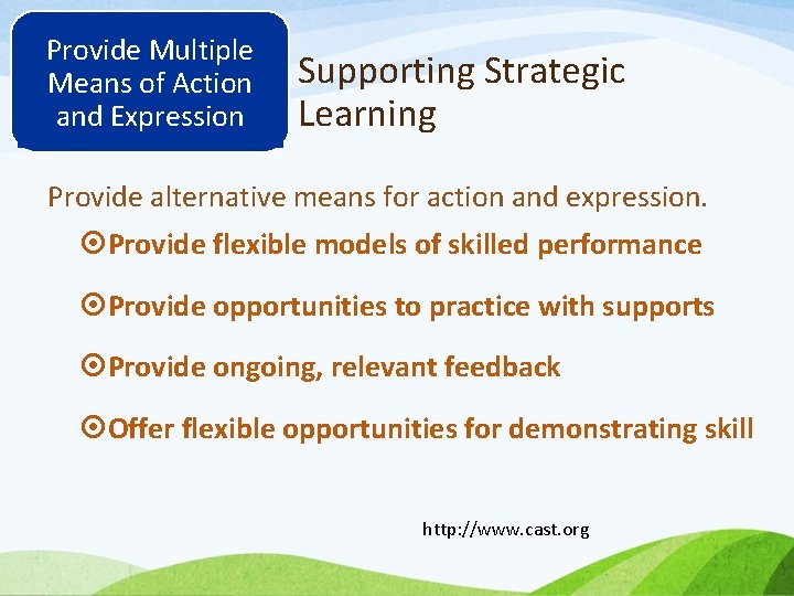 Provide Multiple Means of Action and Expression Supporting Strategic Learning Provide alternative means for