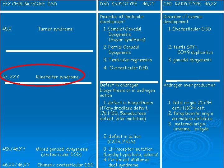 SEX CHROMOSOME DSD 45, X Turner syndrome DSD KARYOTYPE : 46, XY DSD KARYOTYPE: