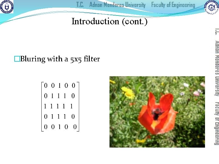 Introduction (cont. ) �Bluring with a 5 x 5 filter 