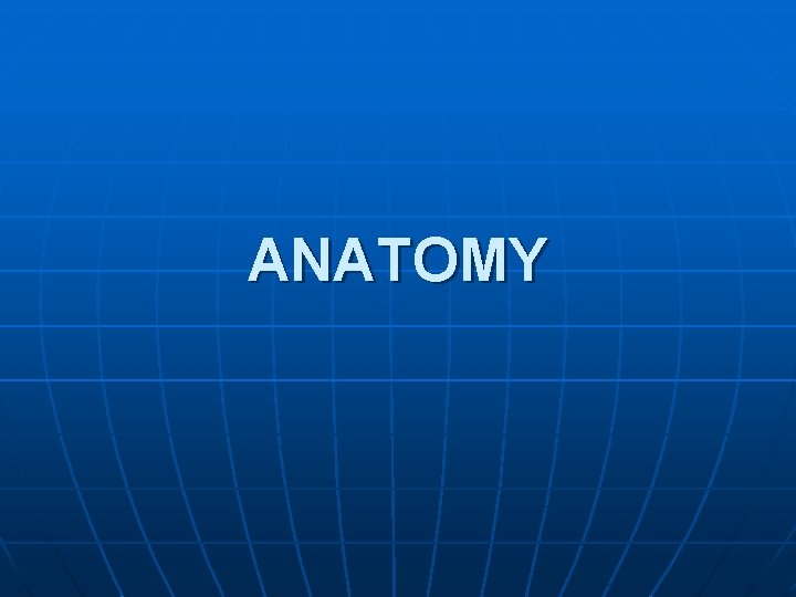 ANATOMY 