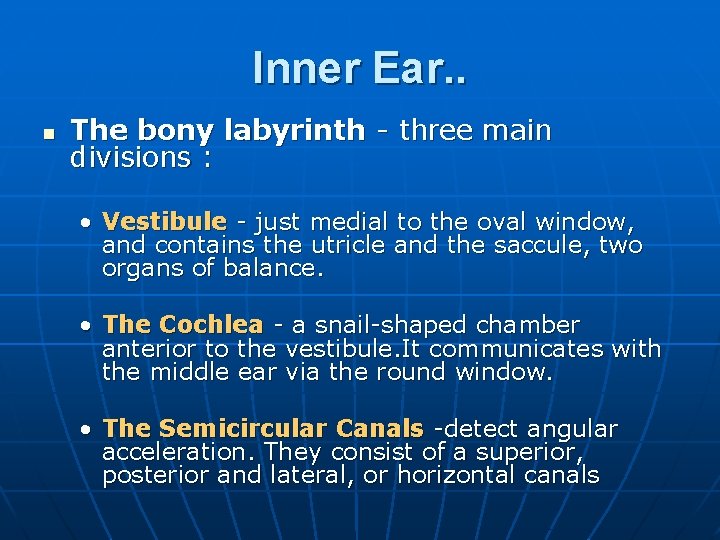 Inner Ear. . n The bony labyrinth - three main divisions : • Vestibule