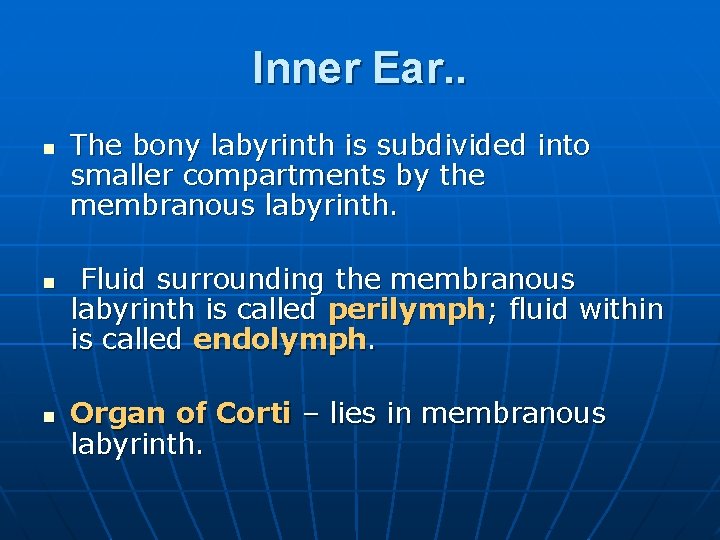 Inner Ear. . n n n The bony labyrinth is subdivided into smaller compartments