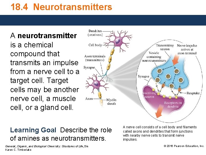 18. 4 Neurotransmitters A neurotransmitter is a chemical compound that transmits an impulse from