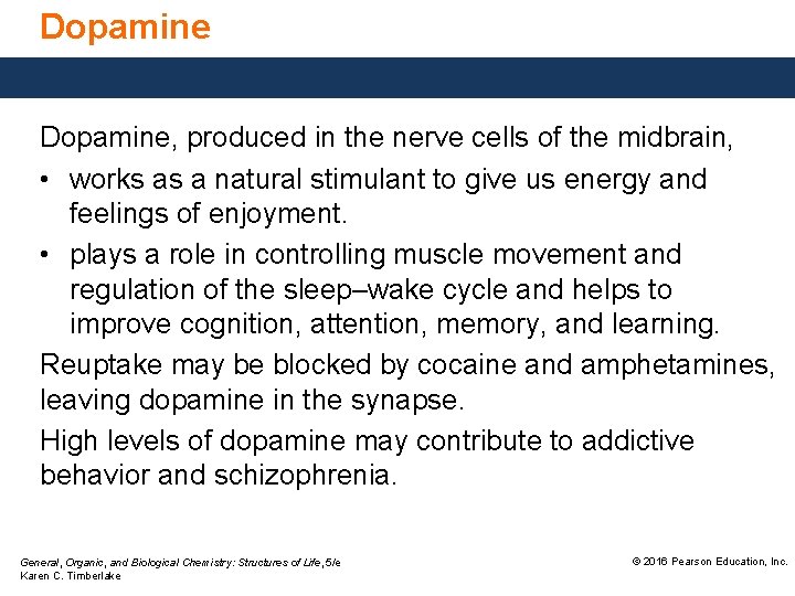 Dopamine, produced in the nerve cells of the midbrain, • works as a natural
