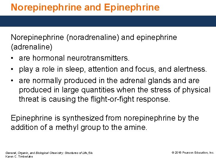 Norepinephrine and Epinephrine Norepinephrine (noradrenaline) and epinephrine (adrenaline) • are hormonal neurotransmitters. • play