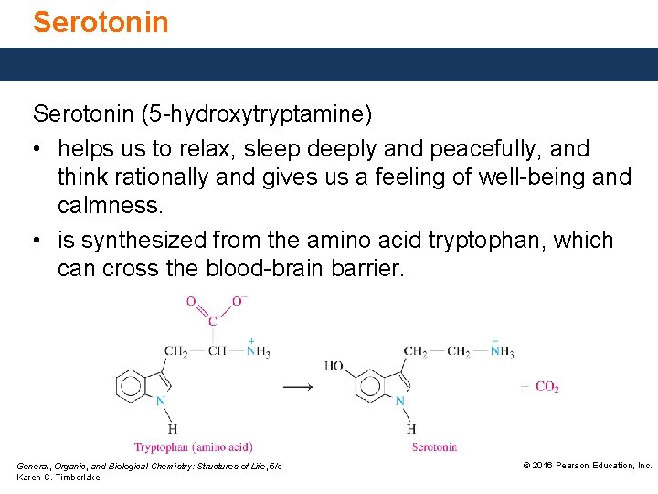 Serotonin (5 -hydroxytryptamine) • helps us to relax, sleep deeply and peacefully, and think