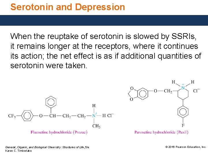Serotonin and Depression When the reuptake of serotonin is slowed by SSRIs, it remains
